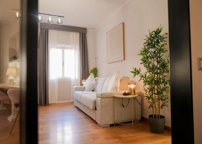 Bruno Domus Design